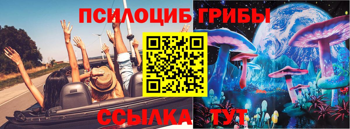Галлюциногенные грибы прущие грибы  Богданович  где можно купить   Псилоцибиновые грибы Magic Shrooms 