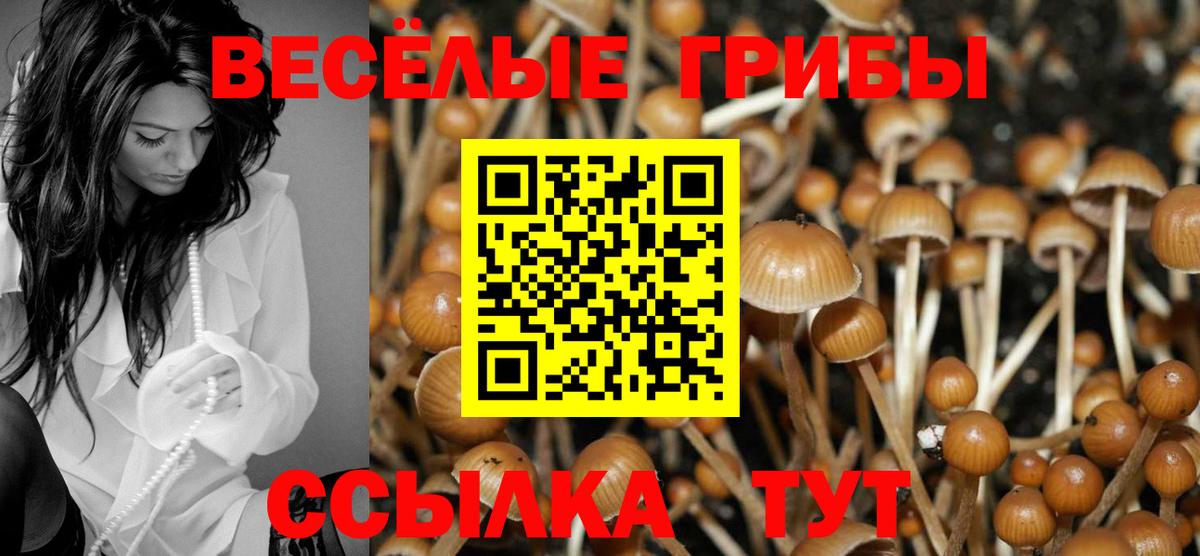 Псилоцибиновые грибы мухоморы Богданович