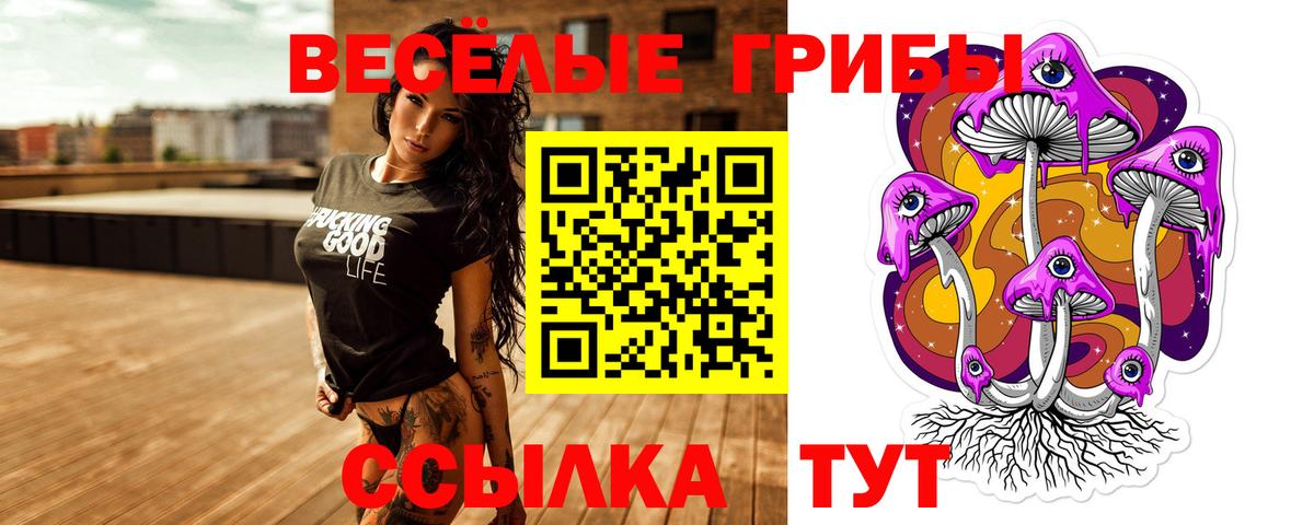 Богданович  Псилоцибиновые грибы прущие грибы  Псилоцибиновые грибы прущие грибы  Вход с VPN 
