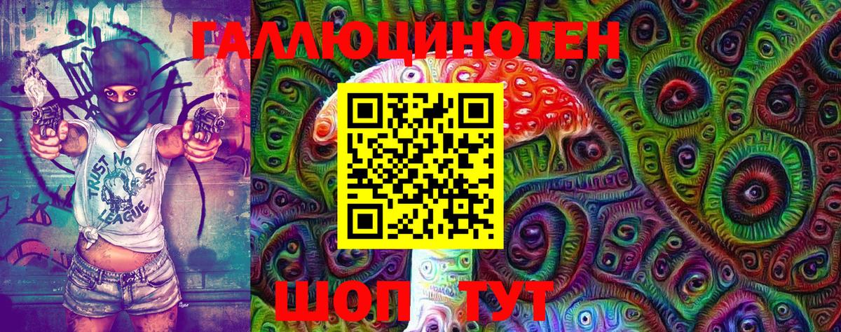 Псилоцибиновые грибы Psilocybine cubensis Богданович